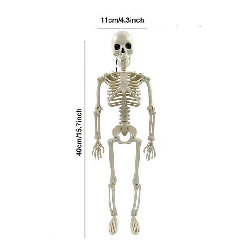 Hauntingly Realistic Skeleton & Skull™ | Realistic Halloween Party Decorations - LoftyGoods
