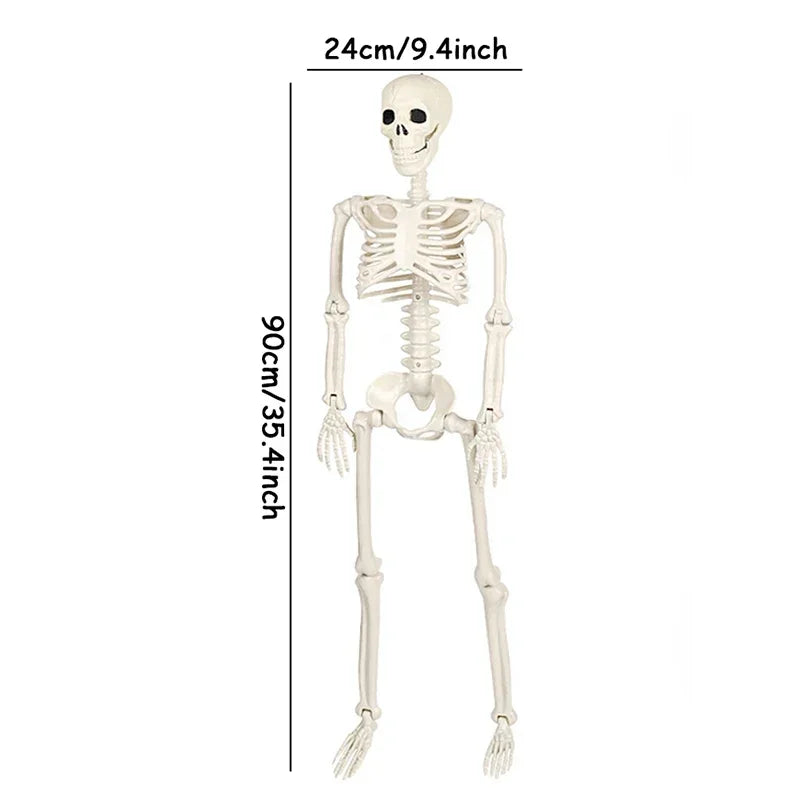 Hauntingly Realistic Skeleton & Skull™ | Realistic Halloween Party Decorations - LoftyGoods