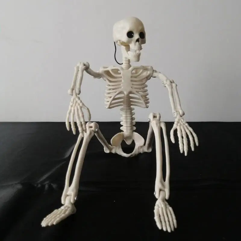 Hauntingly Realistic Skeleton & Skull™ | Realistic Halloween Party Decorations - LoftyGoods