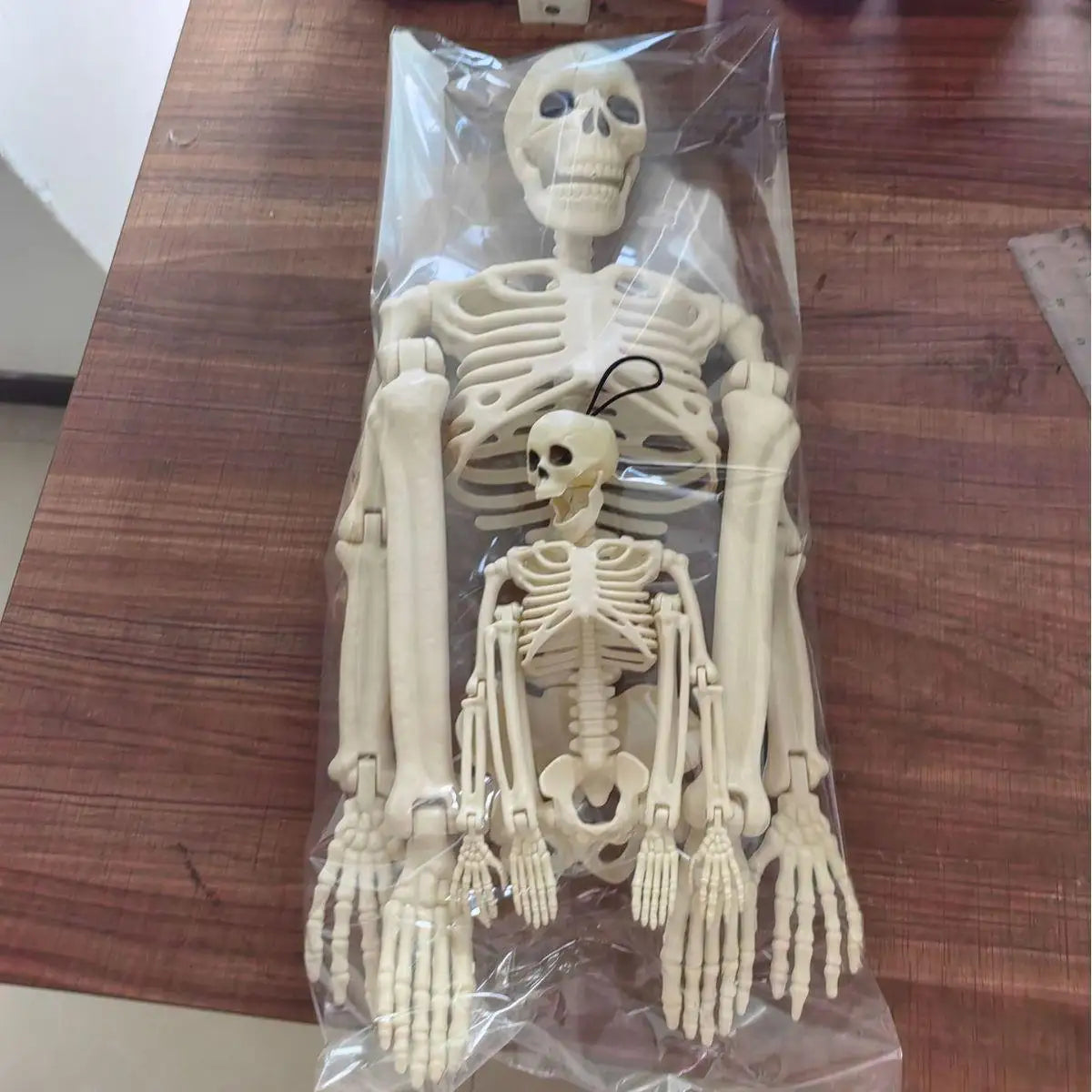 Hauntingly Realistic Skeleton & Skull™ | Realistic Halloween Party Decorations - LoftyGoods